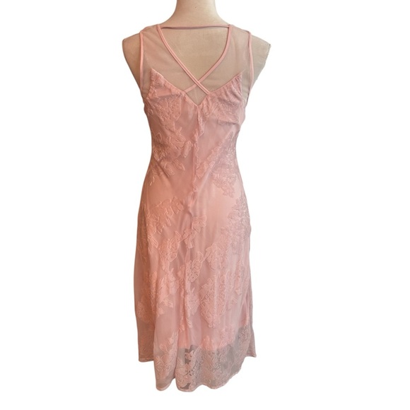 Spirit of Grace Pink Velvet Burnout Dress XS Balletcore Sheer Fairycore Mesh - Picture 6 of 12